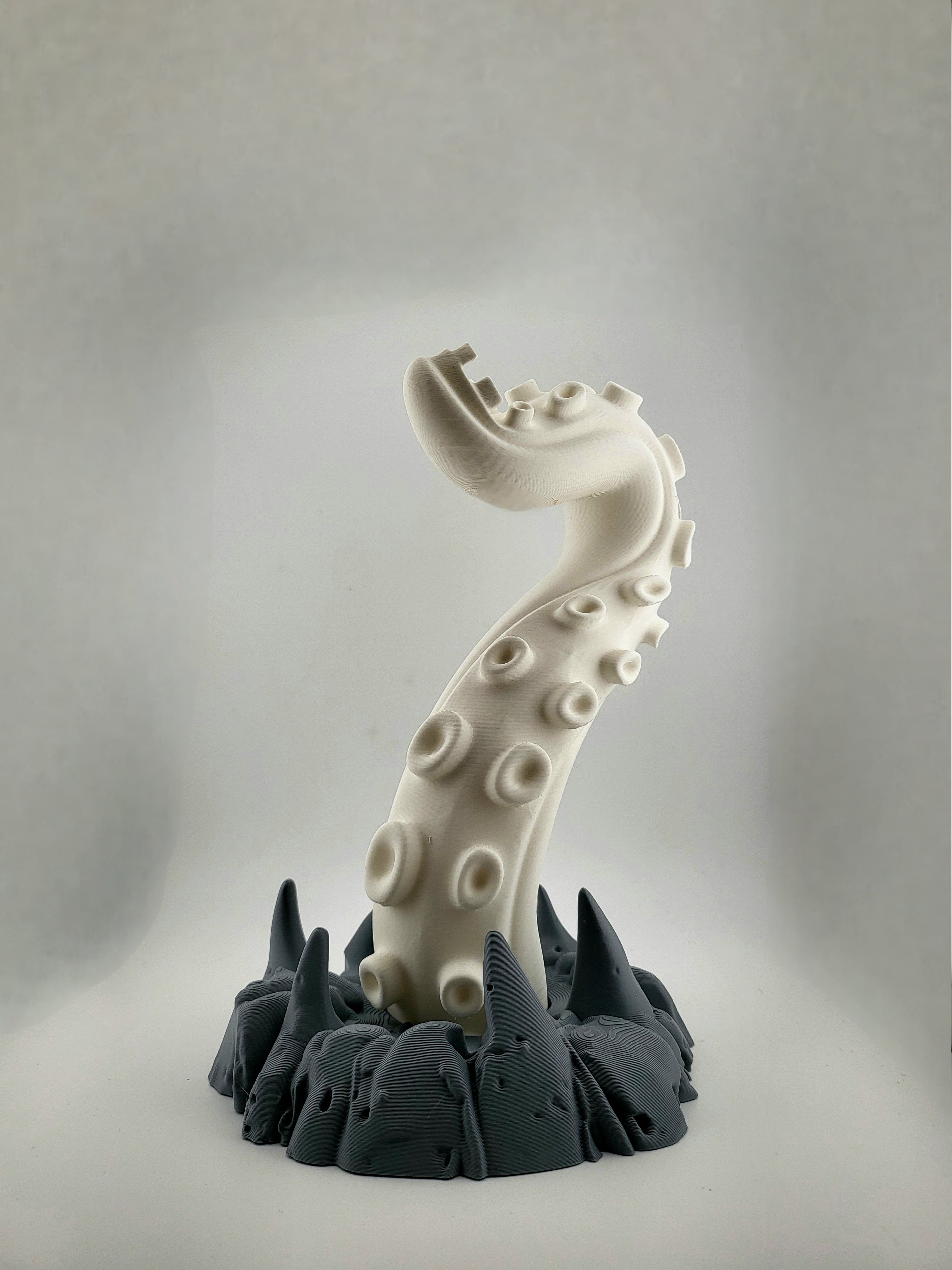 Octopus arm holder